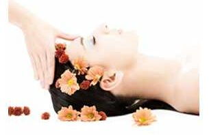 黛诗菲尔 以专业匠心，开启您的美丽财富与健康生活新篇章