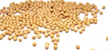 燕麦坚果酸奶等14种超级食物 日常养生保健，助您少得病、更长寿